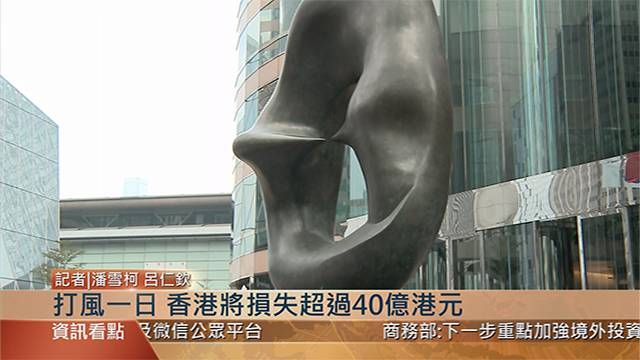 香港天鸽最新动态深度剖析