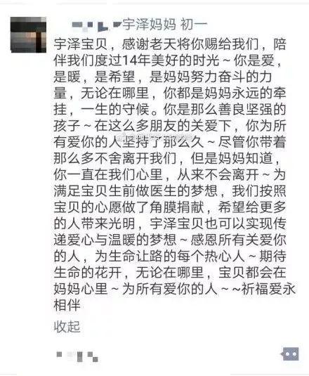 小宇泽最新动态，成长与进步的足迹