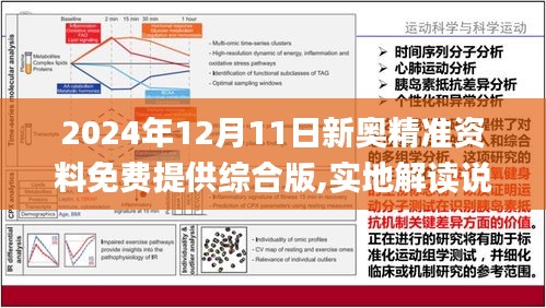 2024年新奥全年资料,最新核心解答落实_限量款80.395