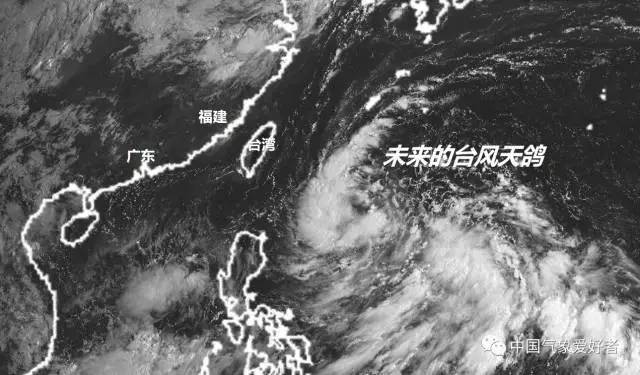 天鸽台风影响广泛，各地积极应对最新报道