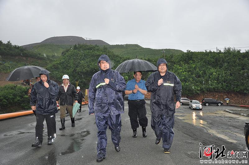 秦皇岛动力煤最新价格分析与影响因素探讨